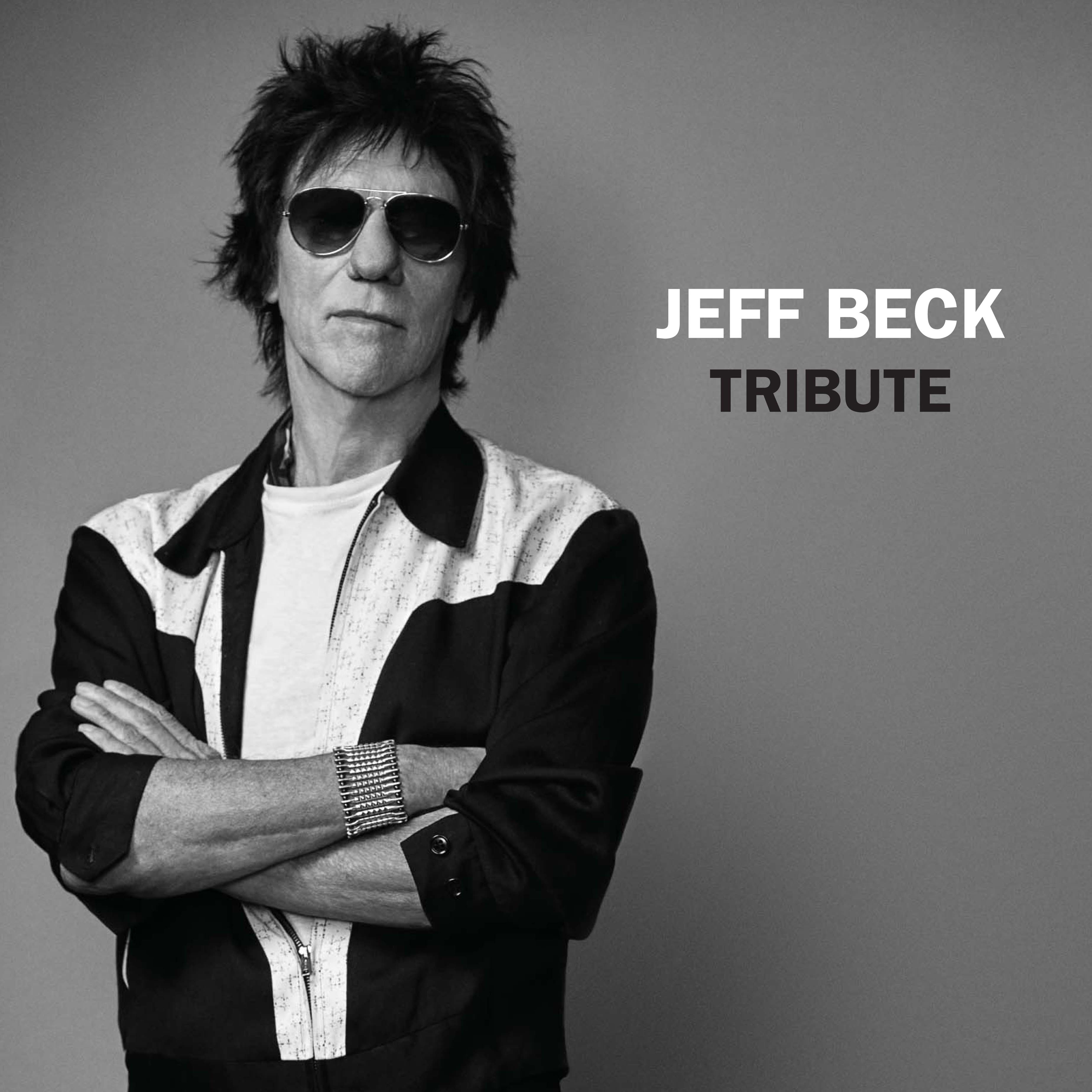Beck, Jeff - Tribute (BLACK Friday Rsd 2023), Vinyl Album