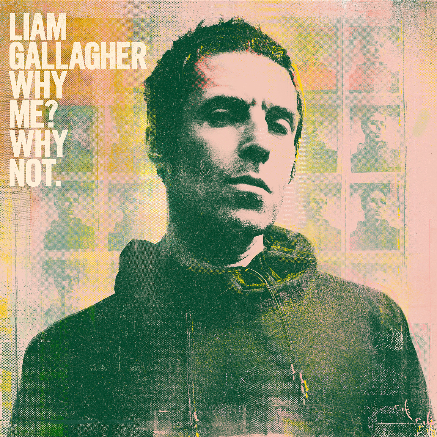 Gallagher, Liam - Why Me? Why Not., Vinyl Album