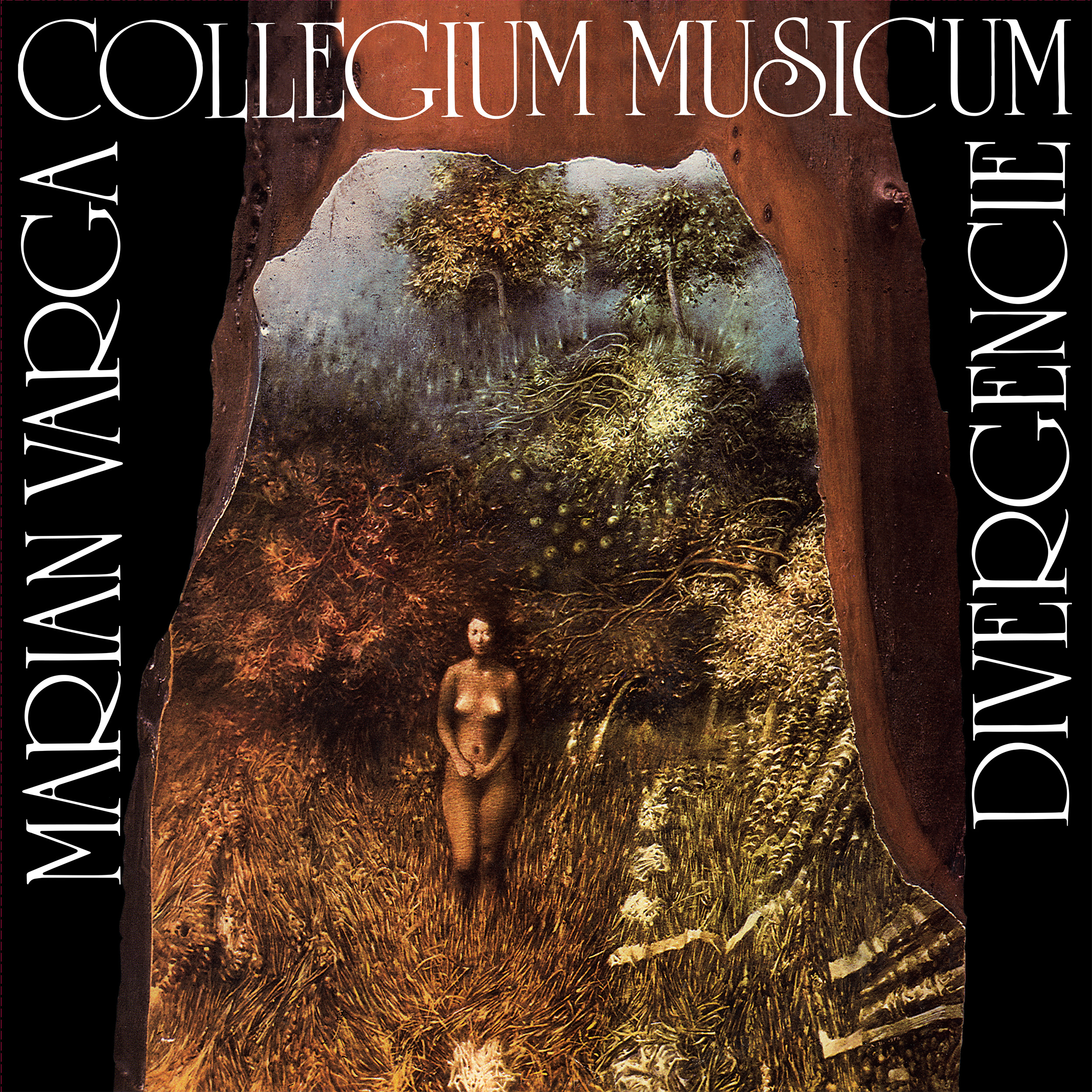 Collegium Musicum - Divergencie, Vinyl Album