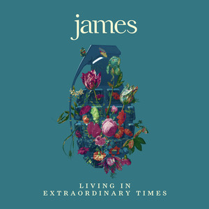 James - Living In Extraordinary Times, Vinyl Album
