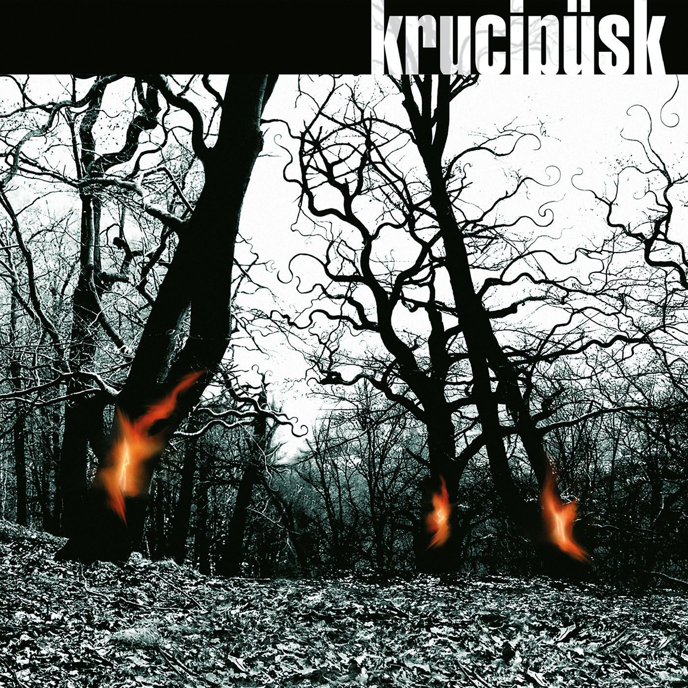 Krucipusk - Druide (20TH Anniversary Remaster), Vinyl Album