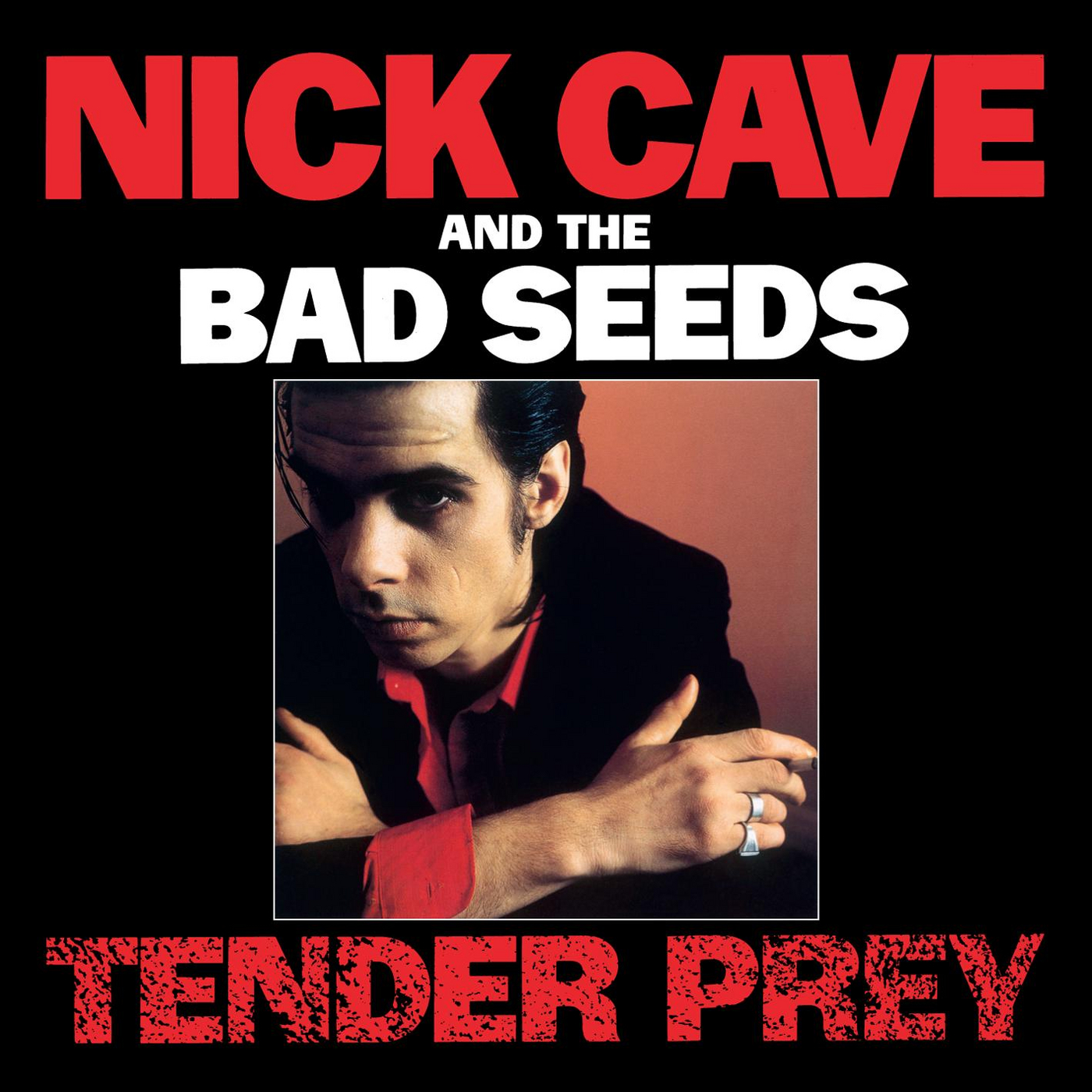 Cave, Nick & The Bad Seeds - Tender Prey, Vinyl Album